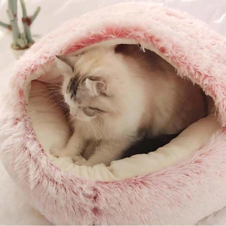 海贝半封闭式猫窝，宠物猫窝，半封闭式狗窝，封闭式猫屋，宠物用品，适合幼猫、小型和中型猫狗，带盖蓬松圆形猫狗屋 - 灰色 - 查看 2