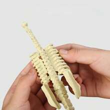 一套3D恐龙骨骼化石模型（需自行组装），逼真的恐龙骨骼模型套件，DIY史前生命科学展示模型，科普教育学习道具，生物结构认知教学辅助工具，精细的骨骼结构，适用于研究和展览，增强动手能力和空间思维，适用于科学展览、课堂教学、家庭收藏、办公室装饰和科学教育 - 多款 - 查看 7