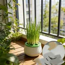 Maceta hidropónica de cebolla verde para interiores, maceta de cebolla verde sin suelo, herramienta de cultivo de vegetales para jardinería doméstica, sin necesidad de regar, fácil mantenimiento, cosecha repetible de cebolla verde - 1 pieza - Ver 6