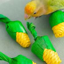 Corn Husk Parrot Chew Toy, Cute Corn Shaped Bird Beak Grinding Toy, Relieve Boredom, Suitable For Small Birds And Parrots - View 7