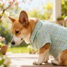 BJAYPET 春夏薄款格子衬衫宠物服装，适合小型/中型犬猫的时尚服饰 - 綠色 - 查看 5