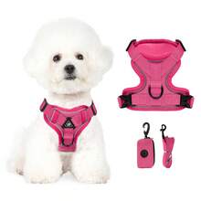 3件套宠物户外旅行套装，小型犬胸背带牵引绳拾便袋，必备遛狗胸背带 - 彩色 - 查看 2