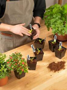 10/20/50个装方形植物播种种植杯塑料深盆苗圃树盆花卉植物容器盆栽花园种植 - 多色 - 查看 2