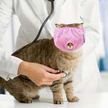 Adjustable Comfortable Cat Anti-Bite Breathable Mask, Suitable For Beauty/Care/Bathing - Multicolor - View 3