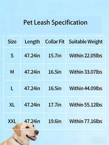1.2m Metal Chain Leash Suitable For Small & Medium Pets, Cats & Dogs - Black - View 11
