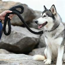 BJAYPET Medium/Large Dog Leash, 8-Strand Braided Pet Leash, Dog Leash, Outdoor Pet Supplies - Black - View 4