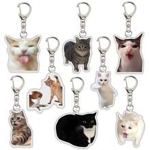 1个亚克力猫脸表情钥匙扣，可爱搞笑猫头表情包挂件，装饰吊坠 - 彩色 - 查看 1