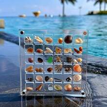 1pc Square Acrylic Seashell Display Box, Transparent Specimen Showcase With 36 Compartments, Magnetic Lid, High Clarity, Suitable For Daily Collection - Multicolor - View 3