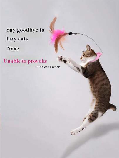 Bộ đồ chơi tự động đu đưa cho mèo kèm cần lông vũ, thích hợp cho mèo chơi một mình, giúp mèo duy trì sức sống và sự hứng thú, đặc biệt phù hợp cho mèo con.