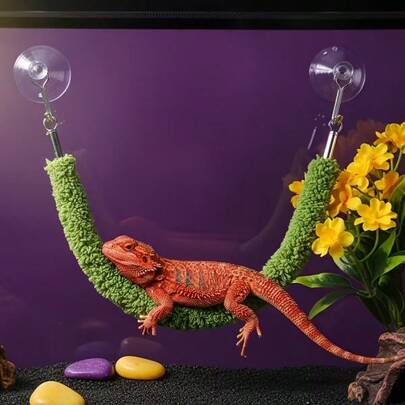 1pc Spider Pet Rope Bridge, Suitable For Jumping Spiders And Climbing Pets Climbing Vines And Ropes, Used For Anti-Slip Vertical Space Decoration In Terrariums, Green, Useful And Fun Spider Habitat Accessory, Detachable Suction Cup