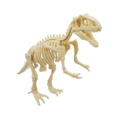 1 Set Modelo de fósil de esqueleto de dinosaurio 3D (se requiere autoensamblaje), kit realista de esqueleto de dinosaurio, modelo de exhibición de ciencia prehistórica DIY, ayuda didáctica para la enseñanza de la estructura biológica, mejora la capacidad práctica y el pensamiento espacial, adecuado para exposiciones científicas, enseñanza en el aula, colección en el hogar, decoración de oficina y educación científica
