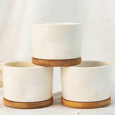 个性化生日花卉迷你花盆，花园花盆，送给她的完美礼物，家庭花卉花盆，适合家庭阳台园艺和苗圃水培生产，春季花园派对，独立日，室内装饰更新，季节性家居装饰