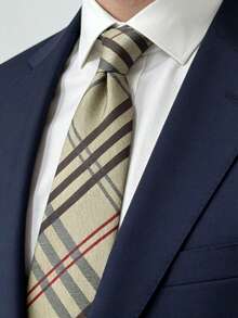 1条英式男士领带，条纹格纹图案，商务正装、休闲通勤、求职面试皆可佩戴 - 彩色 - 查看 1