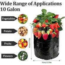 3个装3加仑土豆种植袋，带开口，也可用于种植土豆、胡萝卜、西红柿和洋葱 - 綠色 - 查看 5