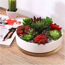 4件套圆形竹制植物托盘套装 - 多功能种植托盘，带排水孔，适用于室内外，非常适合多肉植物和仙人掌 - 圓形 - 查看 5