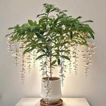 Silk Jasmine - High Survival Rate, Easy To Grow - Suitable For Indoor Balcony Or Office, Fishing Plants, Evergreen All Year Round, Green Plant Jasmine - 每粒種子10粒 - 查看 3