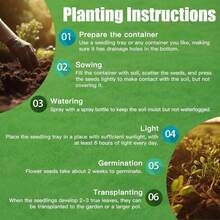 Irish Moss Ground Cover Perennial Ground Cover Clover For Planting Lawn Garden Low Maintenance 1000pcs - 1000個 - 查看 3