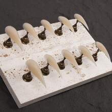 10片手工闪亮长龙爪美甲贴片，黑灰色闪粉尖头野兽美甲，原创设计，100%贴合，加厚可重复使用甲片 - 杏色 - 查看 7