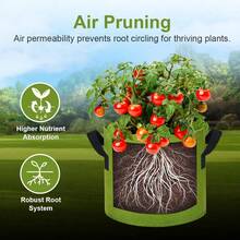 Túi trồng cây bằng vải không dệt, thích hợp để trồng rau, hoa và các loại cây khác, giúp cây phát triển. - Nhiều màu - Xem 4