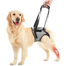1 Stück Hunde-Hebegurt, Rückenstützvorrichtung für ältere Hunde oder Hunde mit Hüftgelenksverletzungen - Grau - Übersicht 2
