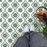 Plantas