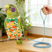 1pc Flight Leash + 1pc Bird Outfit, Ultra-Light Bird Leash Set, Fashionable Cute Cartoon Bird Diaper Pants Clothes, No Foot Damage, Dedicated Bird Walking Flight Leash, Diaper Flight Suit, Suitable For Bird Outdoor Dressing And Flight Use - View 1