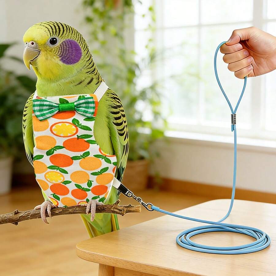 1pc Flight Leash + 1pc Bird Outfit, Ultra-Light Bird Leash Set, Fashionable Cute Cartoon Bird Diaper Pants Clothes, No Foot Damage, Dedicated Bird Walking Flight Leash, Diaper Flight Suit, Suitable For Bird Outdoor Dressing And Flight Use - View 1