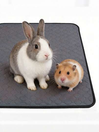 Premium Small Animal Cage Liner Mat - 40x28cm Washable Bedding Pad For Rabbit, Hamster, Ferret & Guinea Pig Cages - Absorbent & Easy To Clean Honeycomb Surface