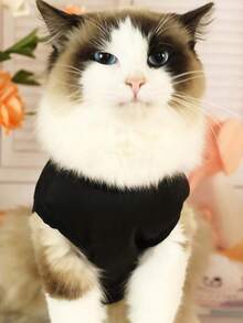 1pc Pet Cat Vest, Lightweight Breathable Sleeveless Cat Vest To Prevent Shedding, Suitable For Teddy, Poodle, Small Dog Puppies, Pet Apparel For All Seasons - Black - View 5