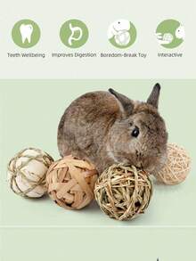 Bộ sản phẩm gồm bóng gặm đan lát, đồ chơi gặm cho thỏ/chuột hamster/chuột lang, bóng cỏ ăn được cho thú cưng. - Xem 3
