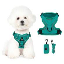 3件套宠物户外旅行套装，小型犬胸背带牵引绳拾便袋，必备遛狗胸背带 - 彩色 - 查看 8