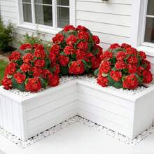 3件套 = 9朵人造天竺葵花，带支架，复古风格，适用于花园和室内装饰 - 紅色 - 查看 3