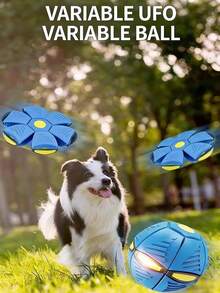 Foldable Elastic Flying Disc Pet Toy, Outdoor Dog Chasing Toy Ball - Multicolor - View 1