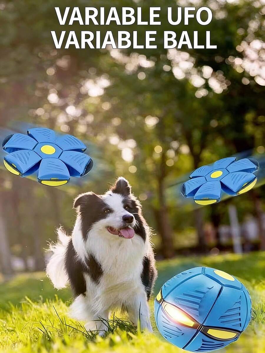 Foldable Elastic Flying Disc Pet Toy, Outdoor Dog Chasing Toy Ball - Multicolor - View 1