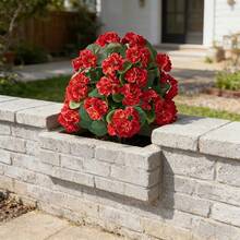 3件套 = 9朵人造天竺葵花，带支架，复古风格，适用于花园和室内装饰 - 紅色 - 查看 6