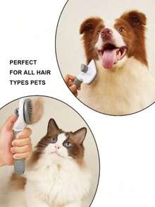 1 Bộ Bàn Chải Chải Lông Thú Cưng, Thích Hợp Cho Chó & Mèo, Dùng Để Chải Lông & Chăm Sóc Lông, Quà Tặng Ngày Valentine, Đồ Dùng Làm Sạch & Chăm Sóc Thú Cưng Cho Đám Cưới - Xám - Xem 6