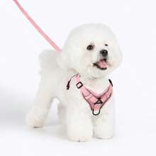 3件套宠物户外旅行套装，小型犬胸背带牵引绳拾便袋，必备遛狗胸背带 - 彩色 - 查看 11