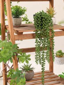 仿真多肉垂吊蕨类植物 - 逼真珍珠垂吊蕨类盆栽绿植，适用于婚礼、花园和家居装饰，可放置于窗台、书架和桌面，是一款高品质的蕨类装饰品。 - 彩色 - 查看 2