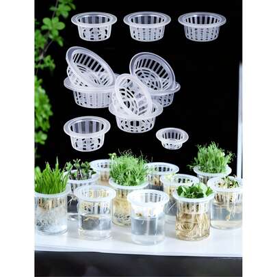 Giỏ trồng cây, Giỏ trồng rau thủy canh, Chậu hoa nhựa, Bình hoa, Giỏ trồng cây thủy canh, Cốc lưới trồng rau thủy canh, Cốc trồng cây không đất màu xanh dương giúp ổn định rễ, Thích hợp cho việc làm vườn ban công tại nhà và sản xuất thủy canh trong vườn ươm, Tiệc vườn mùa xuân, Ngày Quốc khánh, Trang trí nội thất mới, Trang trí nhà theo mùa