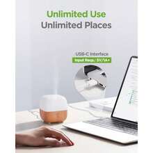 Diffusers - Apricot - View 5