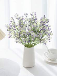 Gypsophila-purple