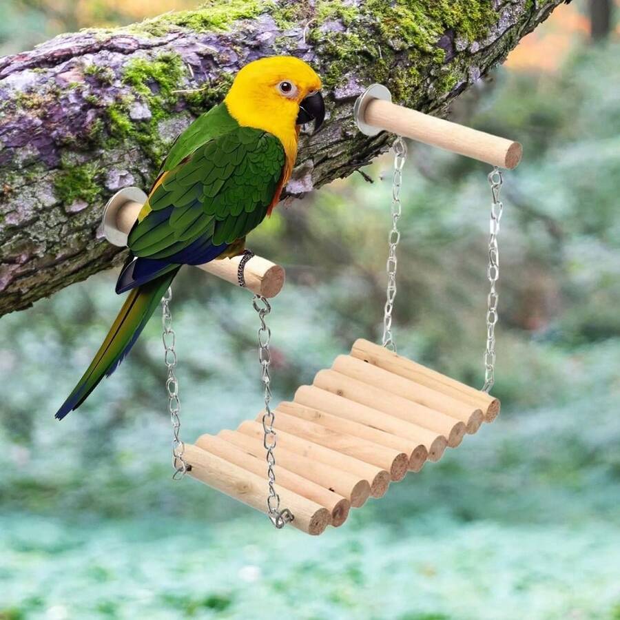 Bird Parrot Ladder Perch Hanging Cage Perch Chewing Parakeet Climbing Toy Wood Ladder For Medium Small Bird - 1pc Training Hoop - View 1