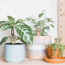 15pcs Funny Wooden Plant Identification Tags | Quirky Humorous Quotes Plant Labels, Cute Gardening Markers, Waterproof Retro Country Style Decor, Creative Matching Succulents, Potted Plants, Yard, Garden Ornaments, Great Gift For Plant Lovers - A - View 4