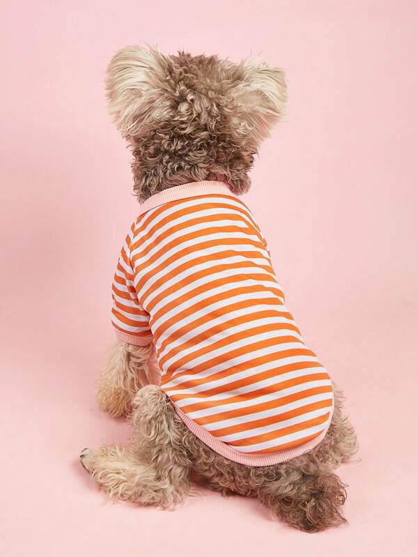 قميص تي شيرت رقبة دائرية مخطط بتصميم جديد للكلاب الصغيرة/المتوسطة من نوع بلدغ فرنسي، بومرانيان، دب تيدي، مناسب للربيع/الصيف