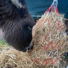 1个/2个120厘米干草袋，慢食喂食器，耐用易用的网状设计马用干草喂食器，干草网，慢食网，网袋，干草袋，长干草网，马用慢食喂食器，适用于农场和牧场的马、驴、牛和羊。 - 彩色 - 查看 3
