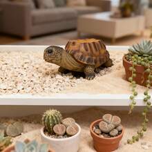 1pc Realistic Turtle Shaped Planter; Brown And Gray Textured Resin Turtle Shaped Planter, Realistic Turtle Shell Detail Simulated Succulent Plant Pot Sculpture, Country Style Animal Plant Display Rack, Suitable For Yard, Lawn, Patio, Spring And Summer Outdoor Backyard Landscape Decoration And Gift - One Size - View 8