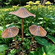 2/3pcs Vintage Rustic Metal Mushroom Garden Decor Set, 40.01cm And 29.01cm Outdoor Rust-Colored Mushroom Signs, Suitable For Cottage Style Yard And Lawn Decor - Perfect Gift For Family, Friends Or Colleagues - One Big and One Small - View 1