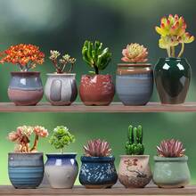5pcs/Set Mini Colorful Succulent Plants Potted, Cute Small Succulent Planter Pots, Miniature Flower Pots For Home Decor, Gardening And Holiday Decoration - Multicolor - View 3
