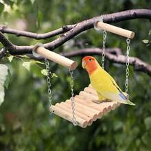 Bird Parrot Ladder Perch Hanging Cage Perch Chewing Parakeet Climbing Toy Wood Ladder For Medium Small Bird - 1pc Training Hoop - View 9