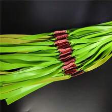 Easytoday 5/10条/包 绿色橡皮筋，厚度1毫米/0.04英寸，随机包装颜色和图案，加厚弹弓扁平橡皮筋，适用于户外射击比赛，可折叠配件 - 綠色 - 查看 4